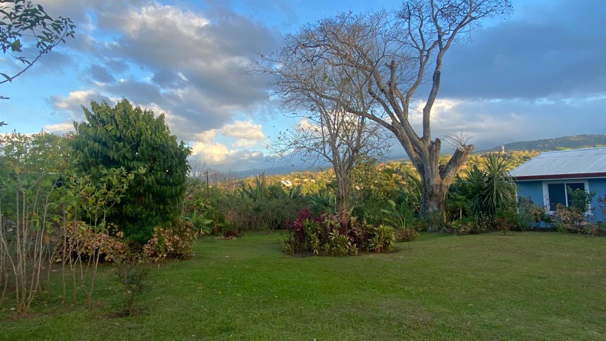 Casa Marigold Διαμέρισμα Coyol Εξωτερικό φωτογραφία